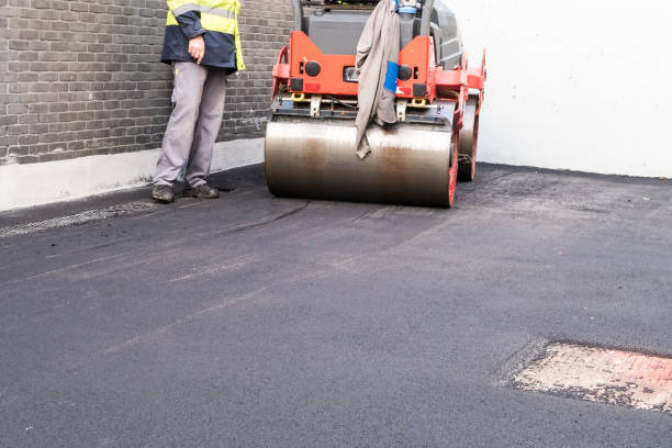 Best Driveway Border and Edging  in South Williamsport, PA